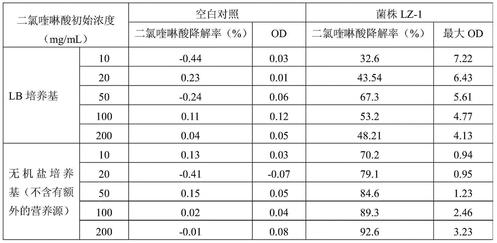 Enterobacter ludwigii with quinclorac degradation function and application thereof