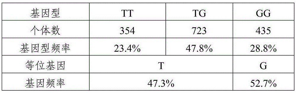 SNP molecular marker related to egg weight and application of SNP molecular marker