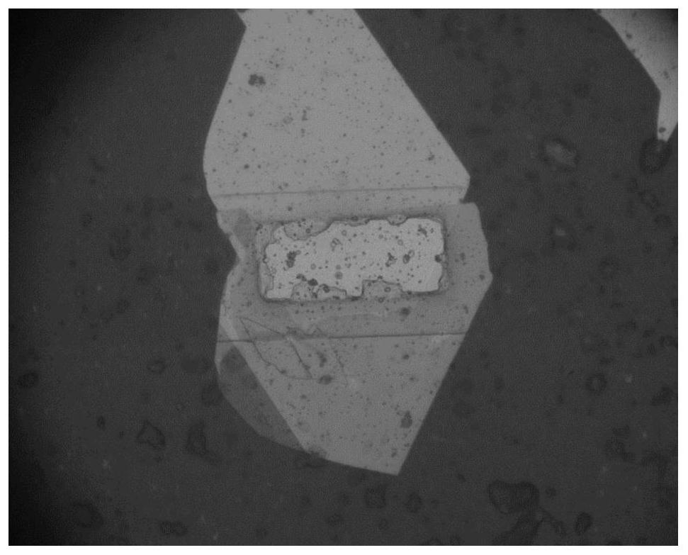 Two-dimensional material heterojunction photoelectric detector with surface plasmon and preparation method thereof