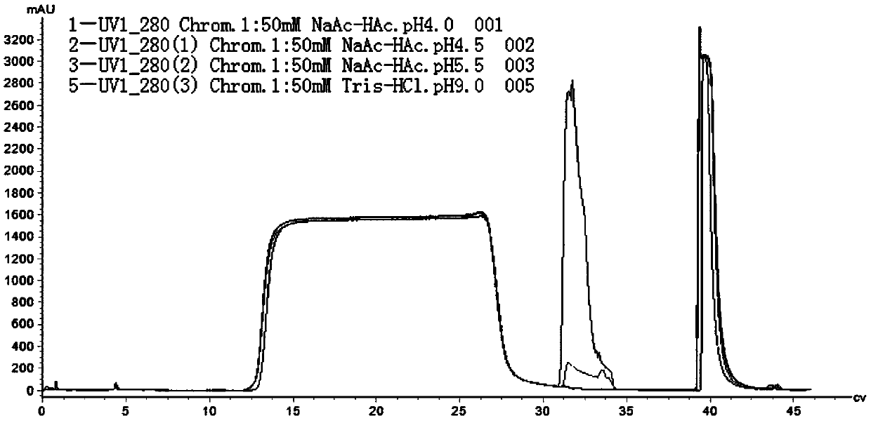 Affinity purification process capable of removing host cell protein content