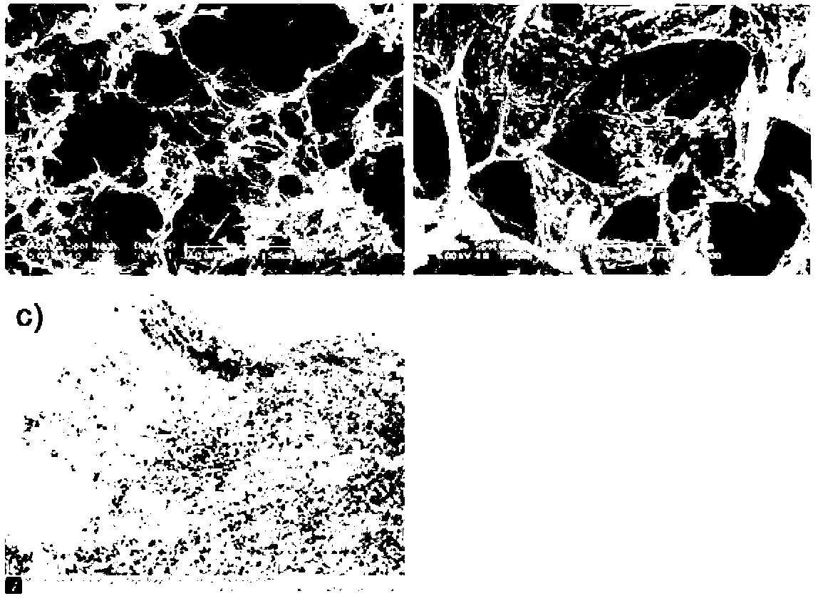 Preparation method and application of three-dimensional-structure graphene-base metal oxide composite material