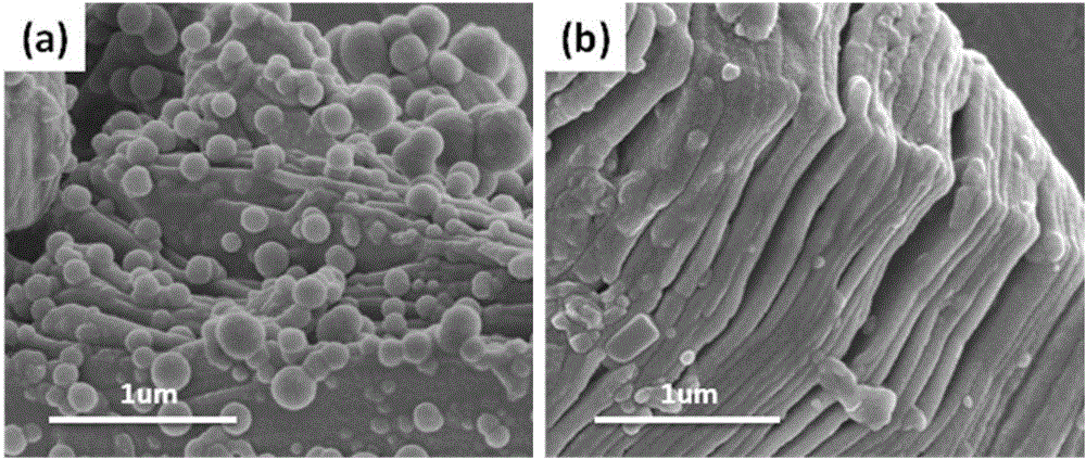 Titanium carbide in-situ growth CNTs three-dimensional composite with polydopamine serving as transition layer and preparation method thereof