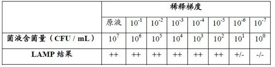 Bacillus anthracis detection kit and using method of kit