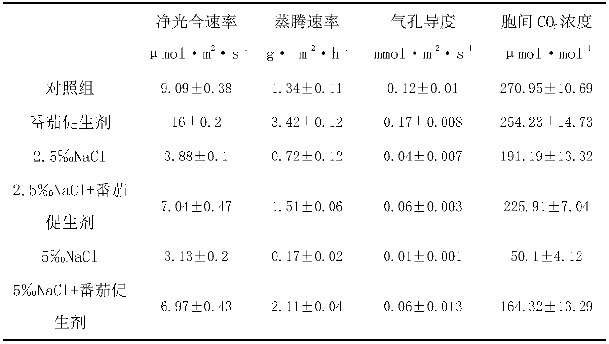 Salt-tolerance growth-promoting bacterium strain Y4 and application thereof