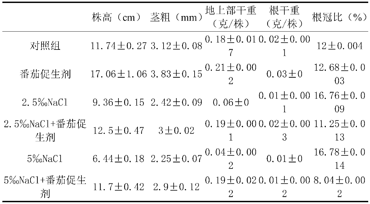 Salt-tolerance growth-promoting bacterium strain Y4 and application thereof