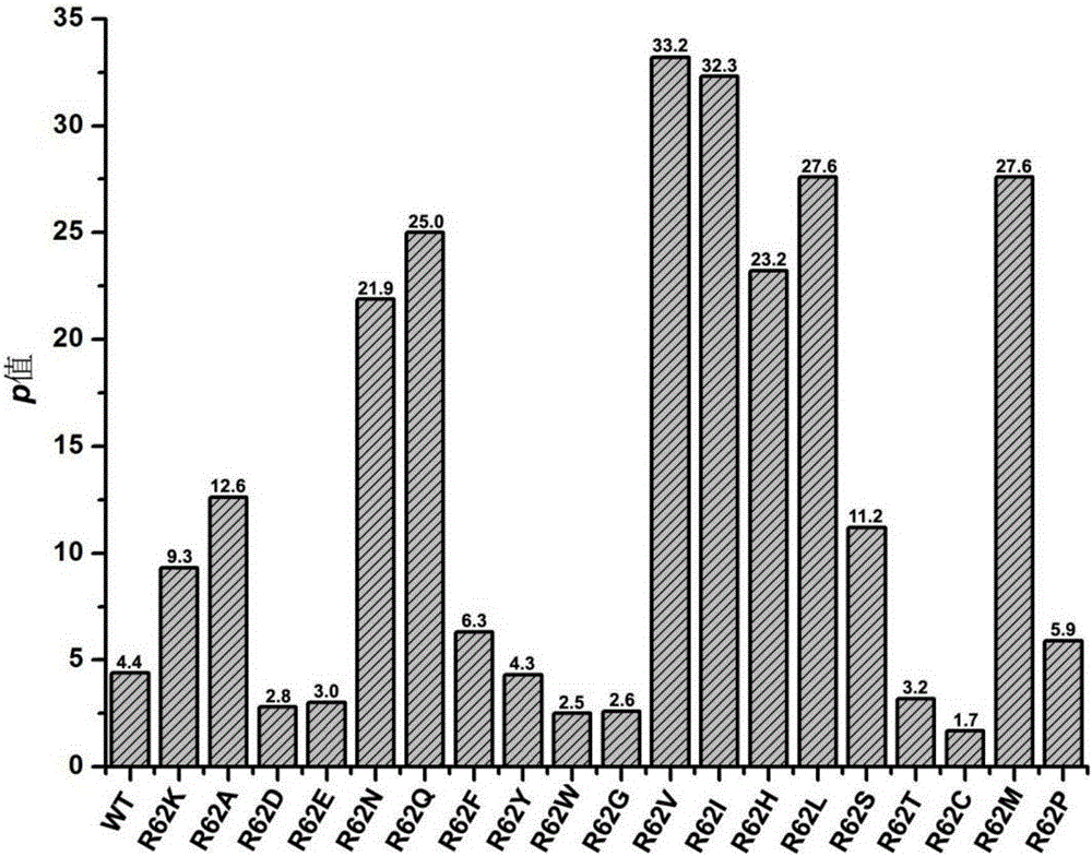 Fructosyl peptidyl oxidase with high specificity as well as encoding gene and application