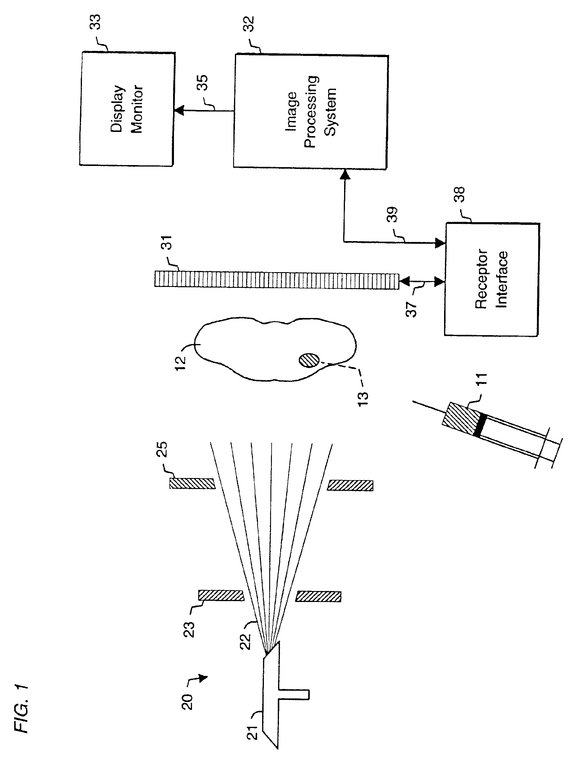 System and method for radiographic imaging of tissue