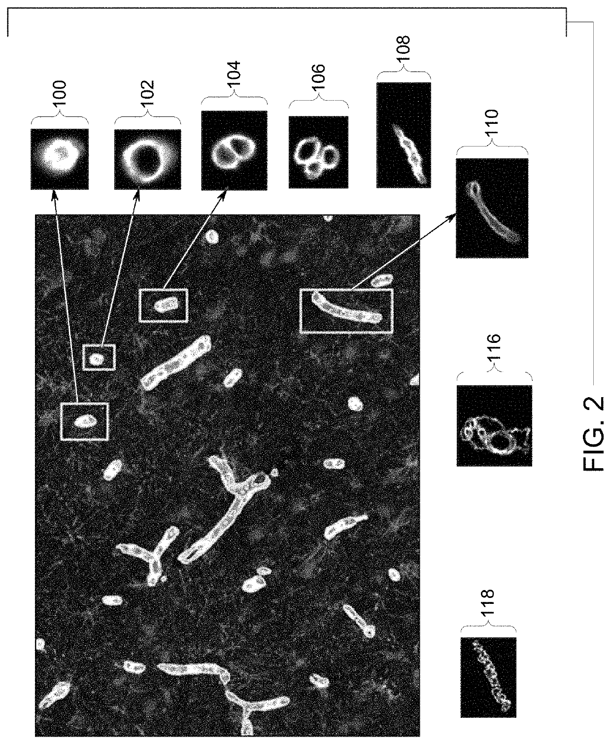 Methods of systems of generating virtual multi-dimensional models using image analysis