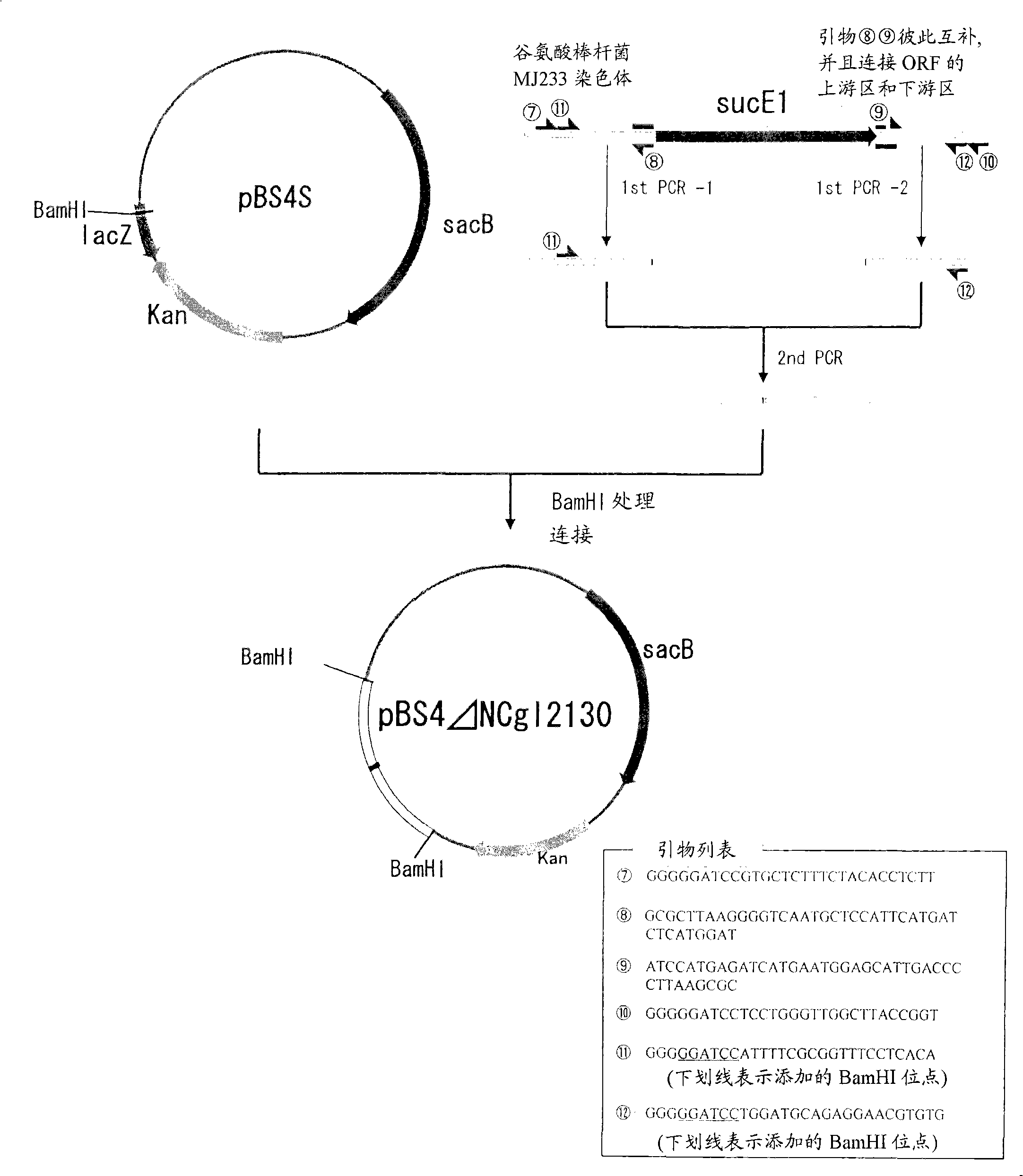 Process for production of succinic acid