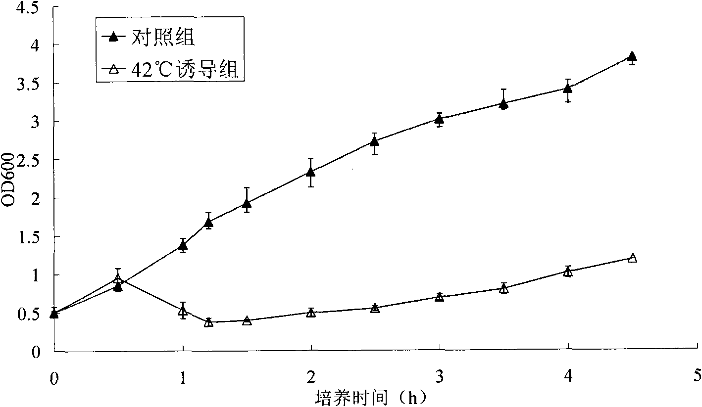 Double-target DNA vaccine and constructing method thereof