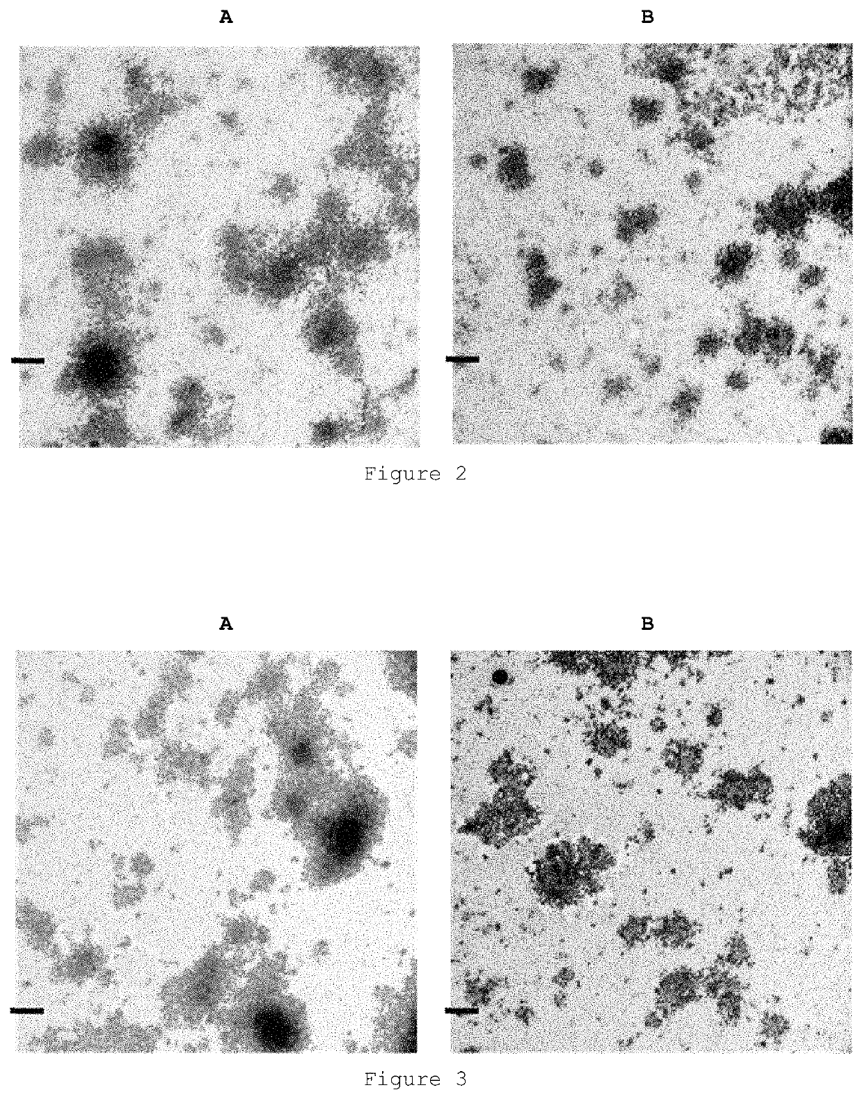 Nanoparticles for the encapsulation of compounds, preparation thereof and use of same