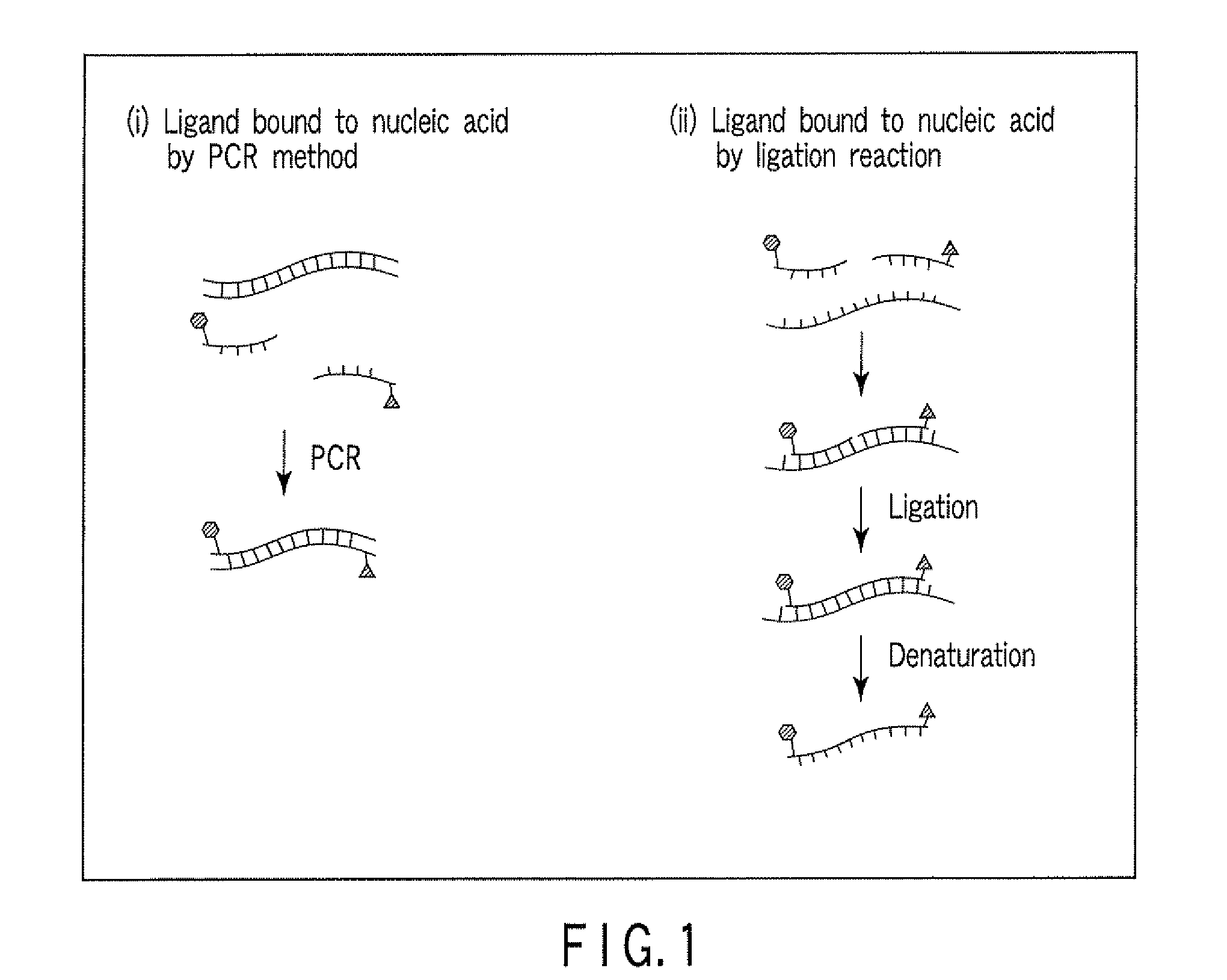 Method for detecting nucleic acid