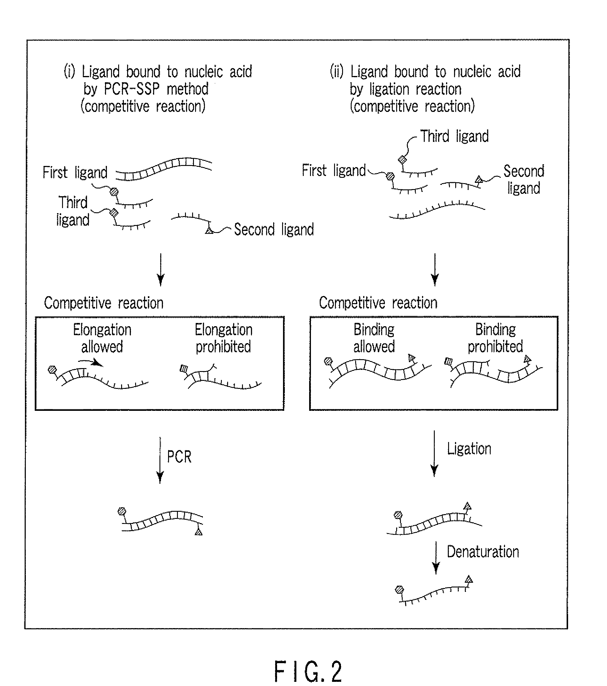 Method for detecting nucleic acid