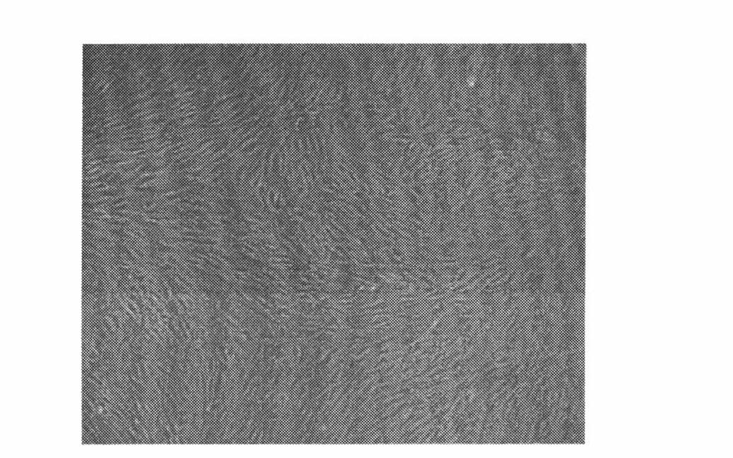 Kit and method for fast separating bone marrow mesenchymal stem cells