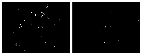 Cu-Ni-Fe-based alloy inert anode material and heat treatment method thereof