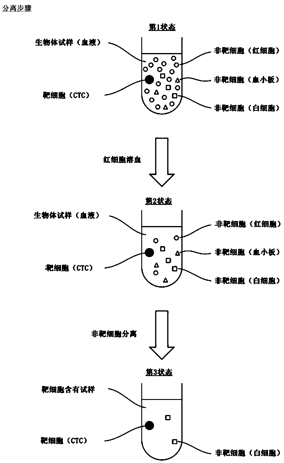 Cell detection method and cell detection system