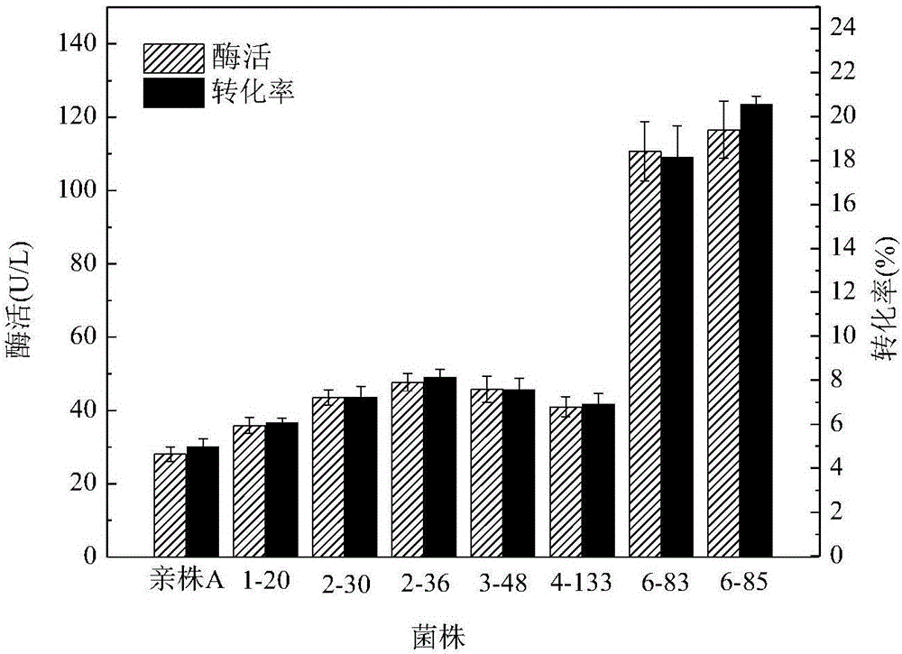 PanD mutant gene, encoded protein, vector, engineering bacterium and application of encoded protein