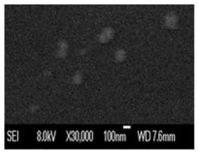 Injectable holothurin mesoporous silica nano-composite as well as preparation method and application thereof