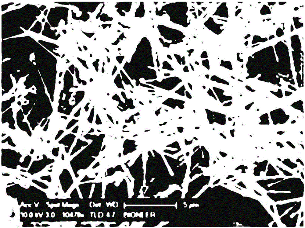 Silver-coated copper nanowire and preparation method therefor