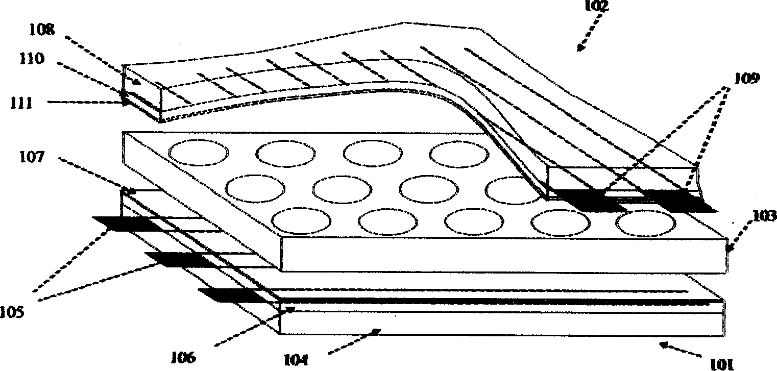 Power consumption automatic regulating device of plasma display screen and its method