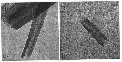 Novel sustainable sustained-release method for biofilm inhibiting molecule