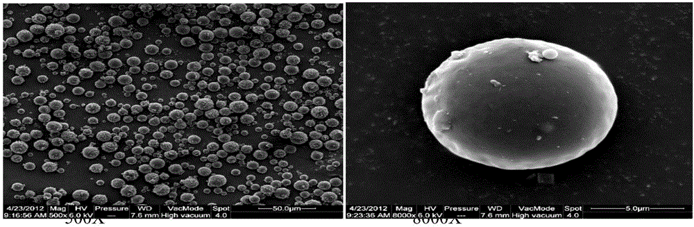 Microsphere suspended seed coating agent and preparation method thereof