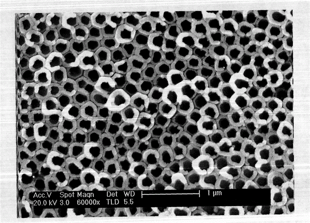 Antibacterial functionalized artificial joint with silver-loaded nanotube array surface