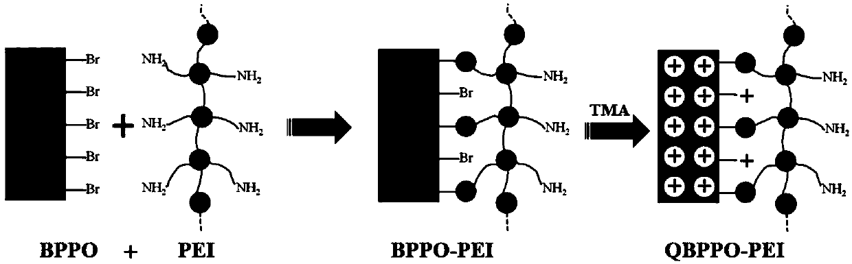 A kind of anion selective separation membrane and its application