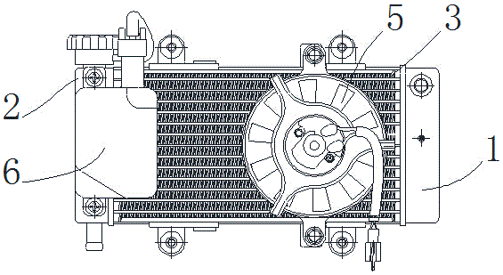 Radiator structure of motorcycle