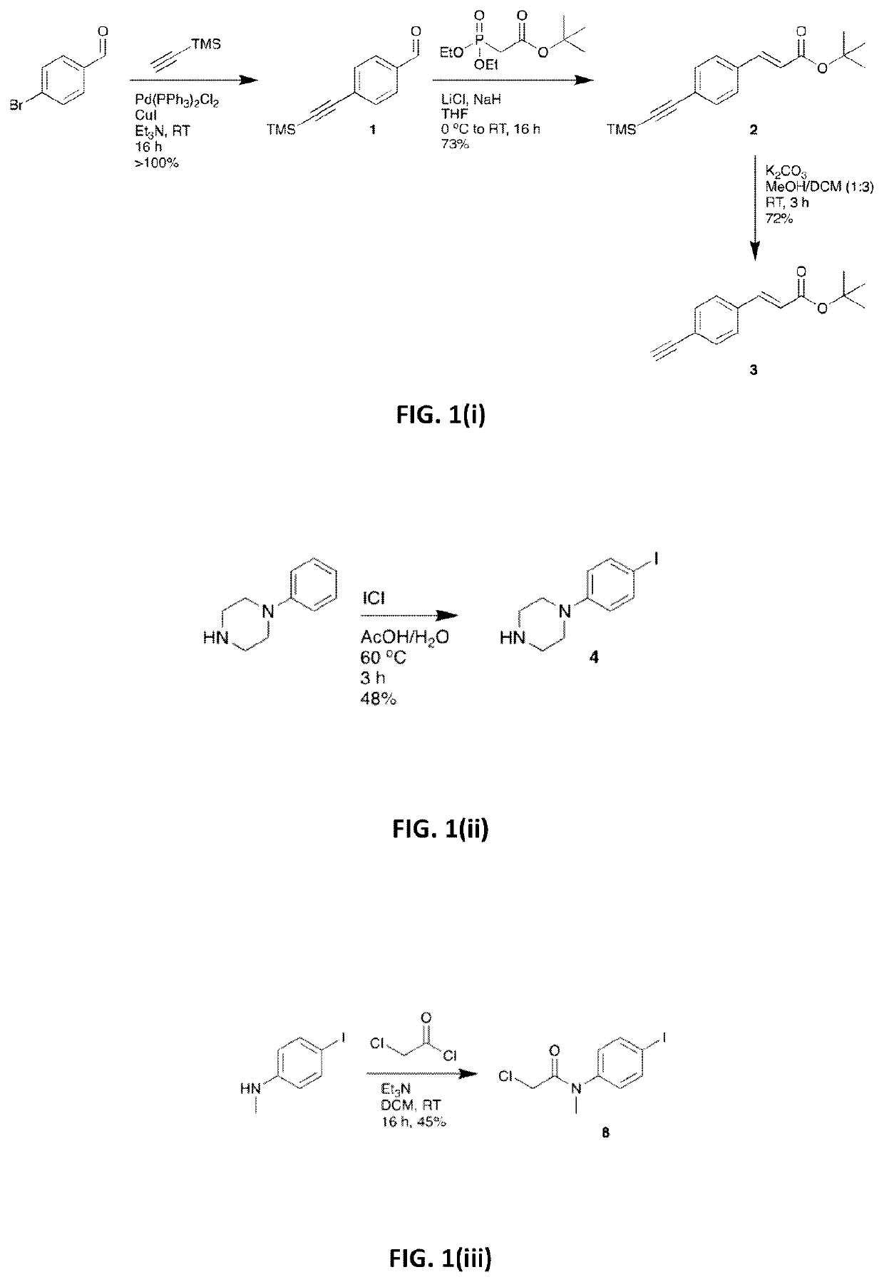 Fluorescent systems for biological imaging and uses thereof