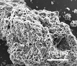 Preparation method of porous SiOC ceramic and application thereof in negative electrode material of lithium ion battery