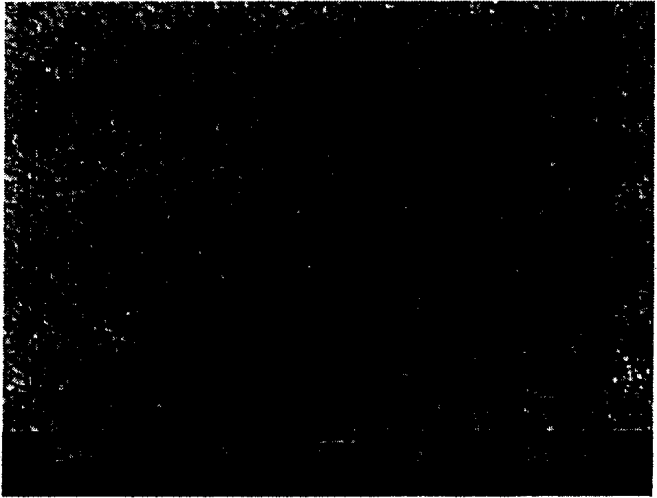 Seepage type Ag-PbTiO3 composite ceramic film and preparation method therefor