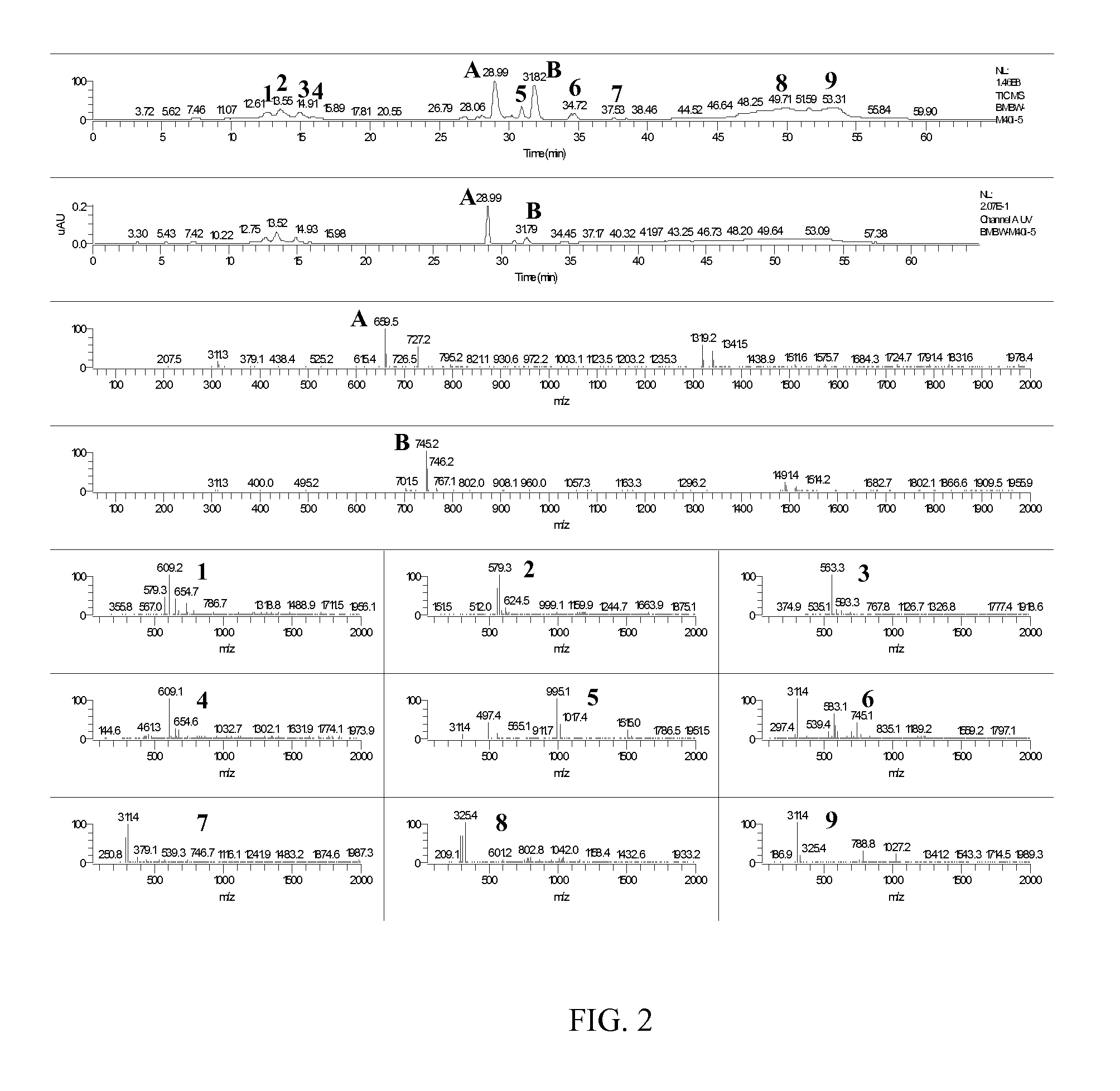 Therapeutic compositions and methods of treatment with capsianoside-type compounds