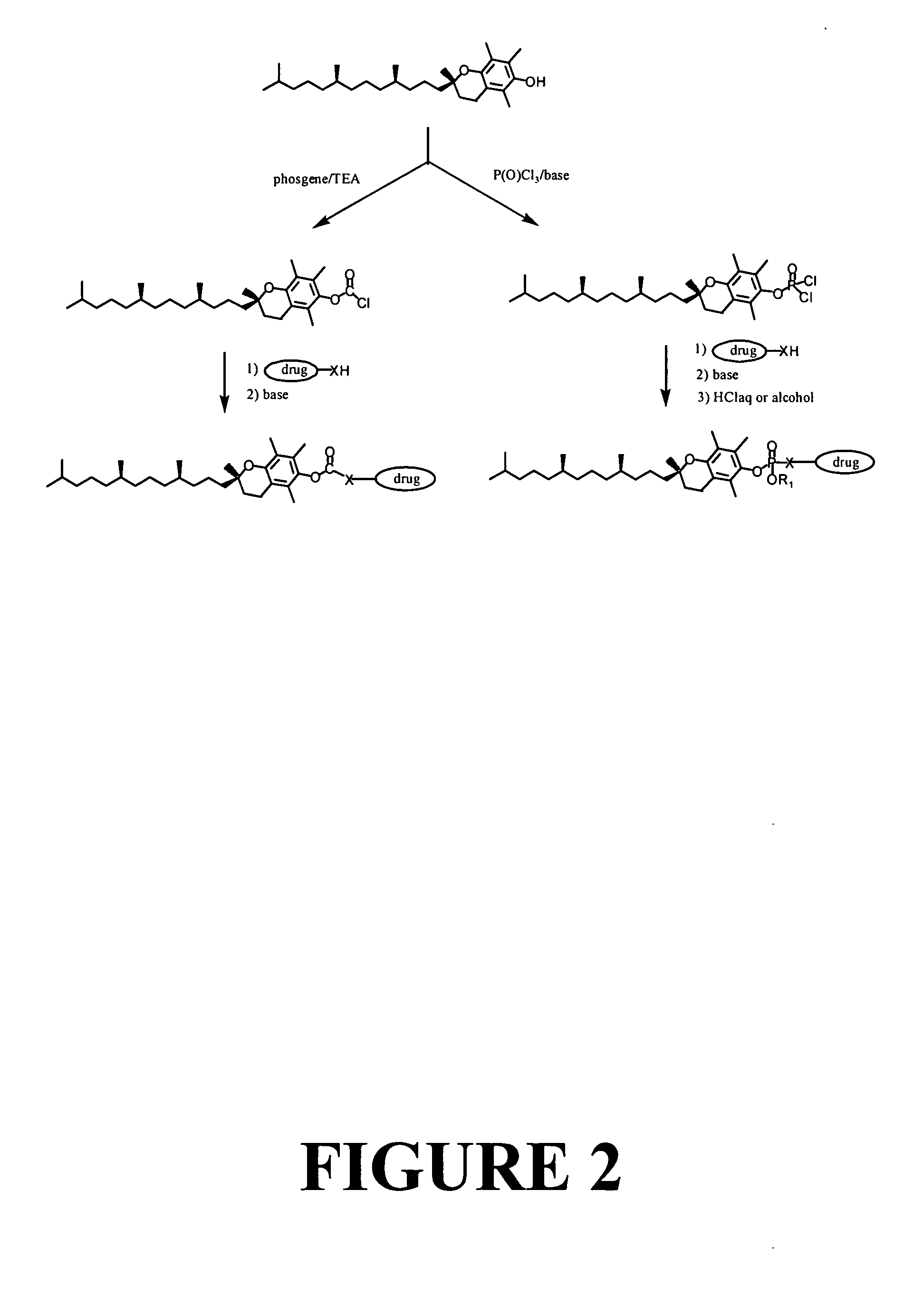 Tocopherol-modified therapeutic drug compounds