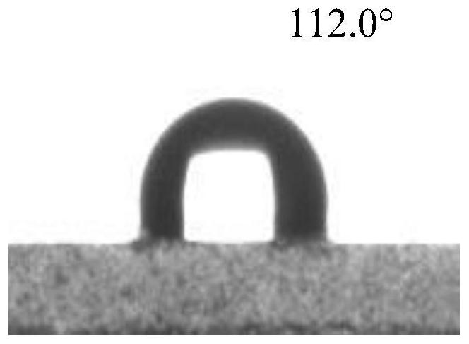 Acrylic ester polymer, preparation method and application thereof, acrylic ester polymer coating and application thereof