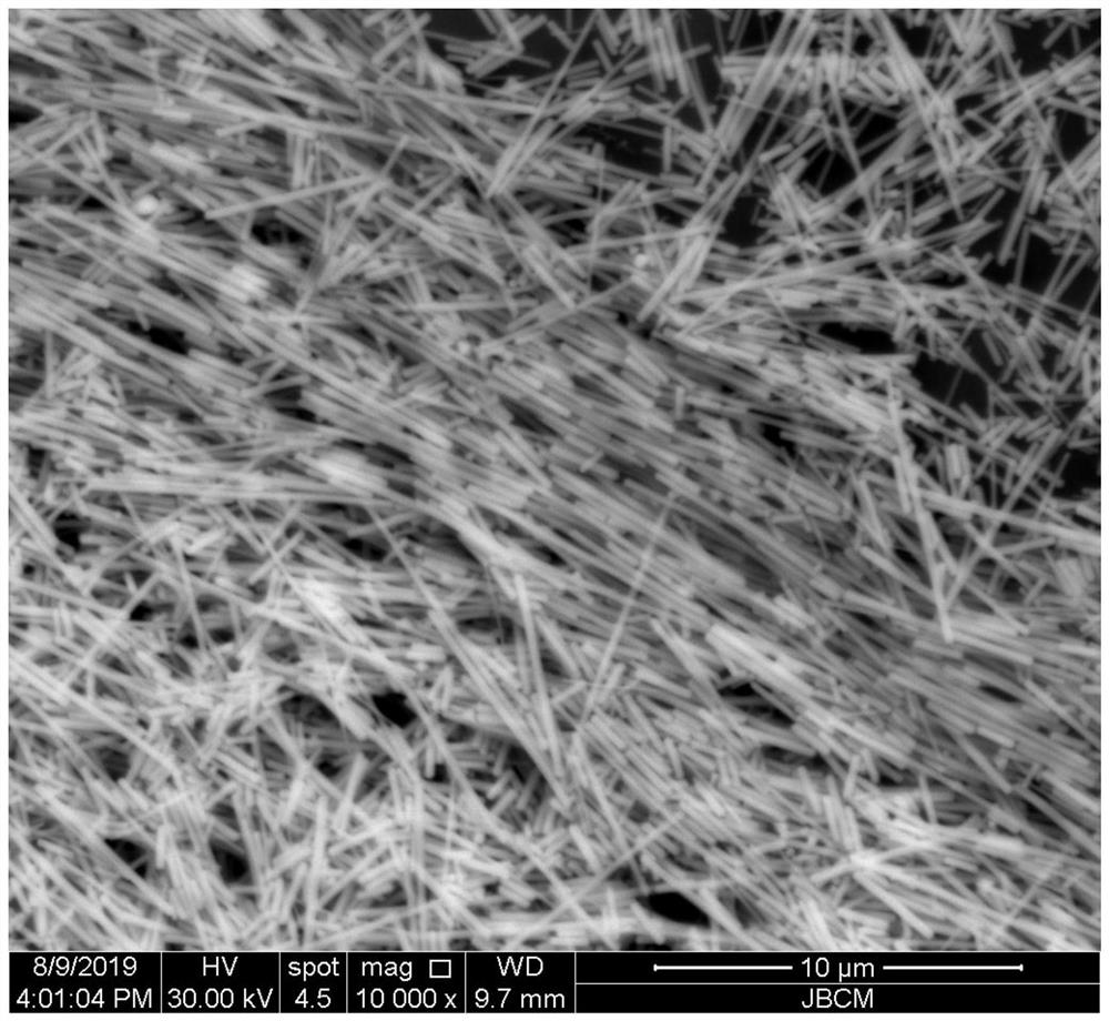 Silver nanowire and preparation method thereof