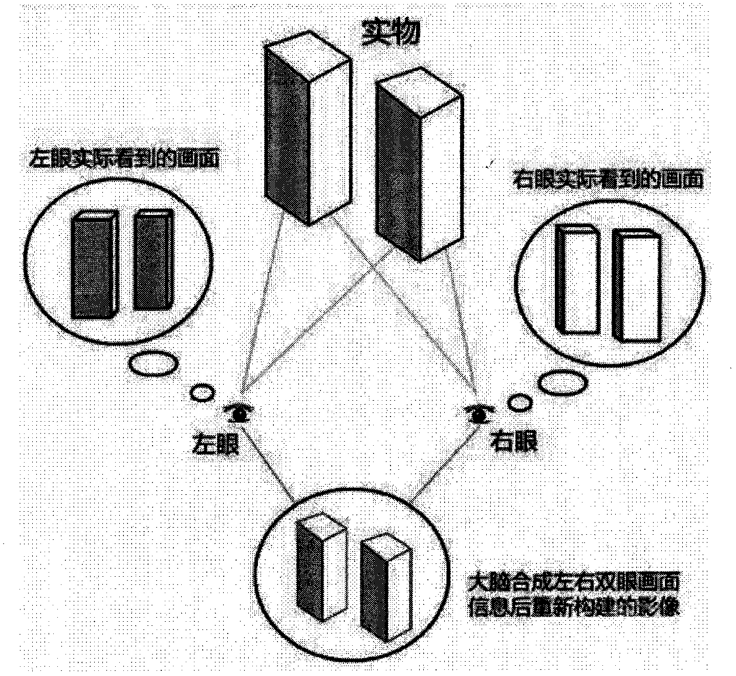 Naked eye suspended stereo display system based on Fresnel lenses and using method thereof