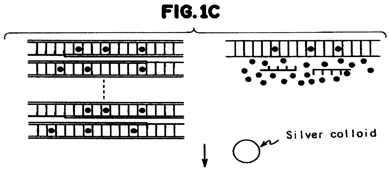 Method for measuring the concentration of polynucleotides