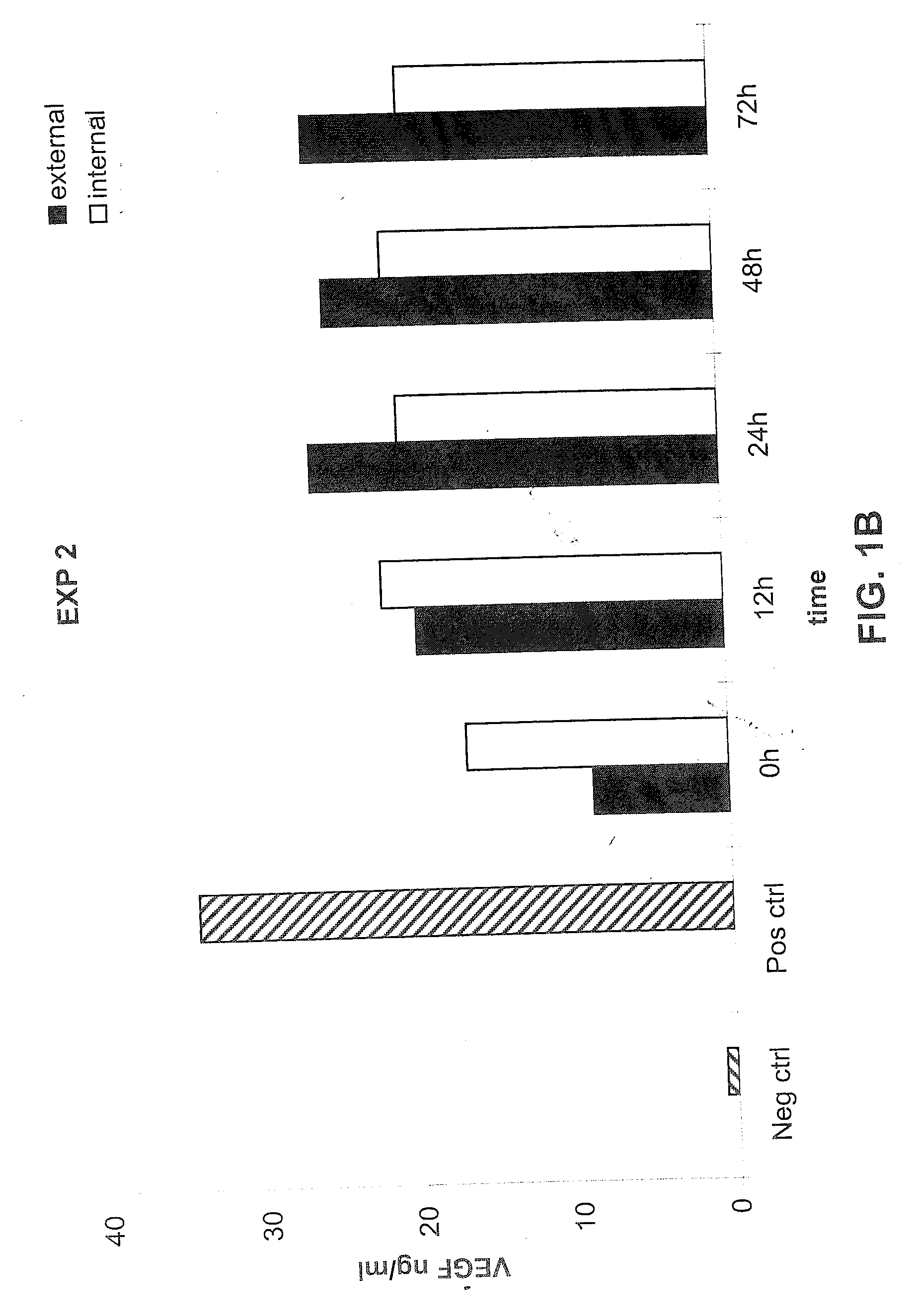 Prosthetic Grafts