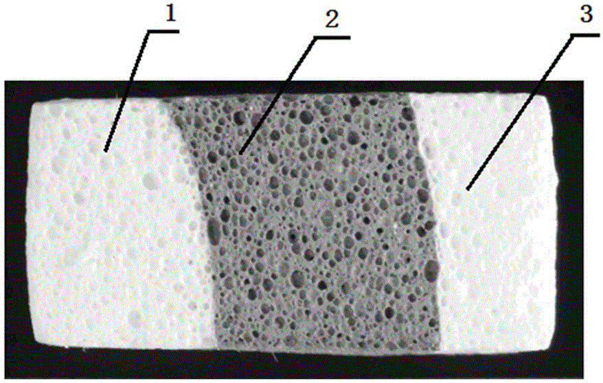 A kind of combined casting preparation method of porous material