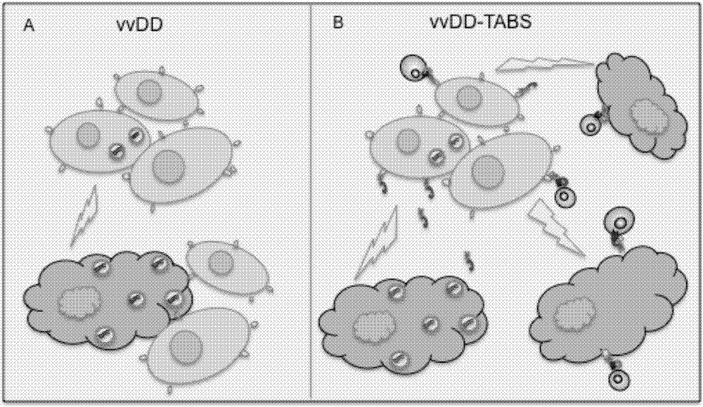 Recombinant oncolytic virus, and application thereof