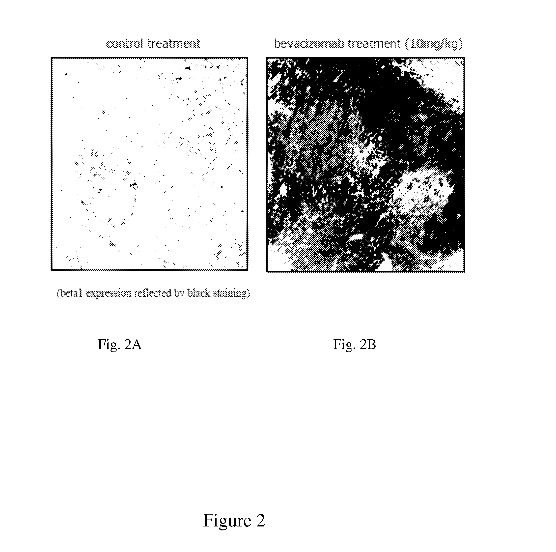 Methods and compositions for improving antiangiogenic therapy with Anti-integrins