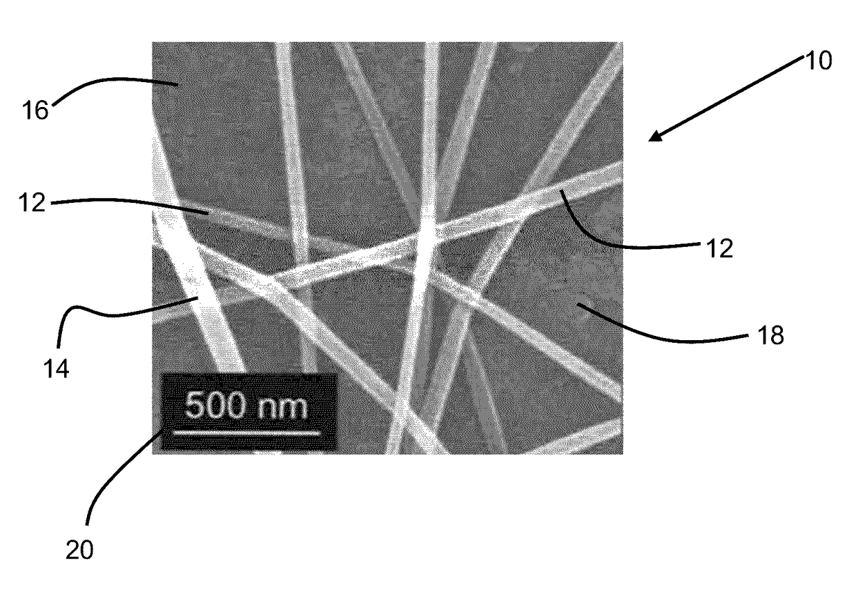 Image processing tool for automatic feature recognition and quantification