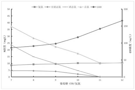 Aerobic synchronous nitrification and denitrification sewage treatment method based on BAF