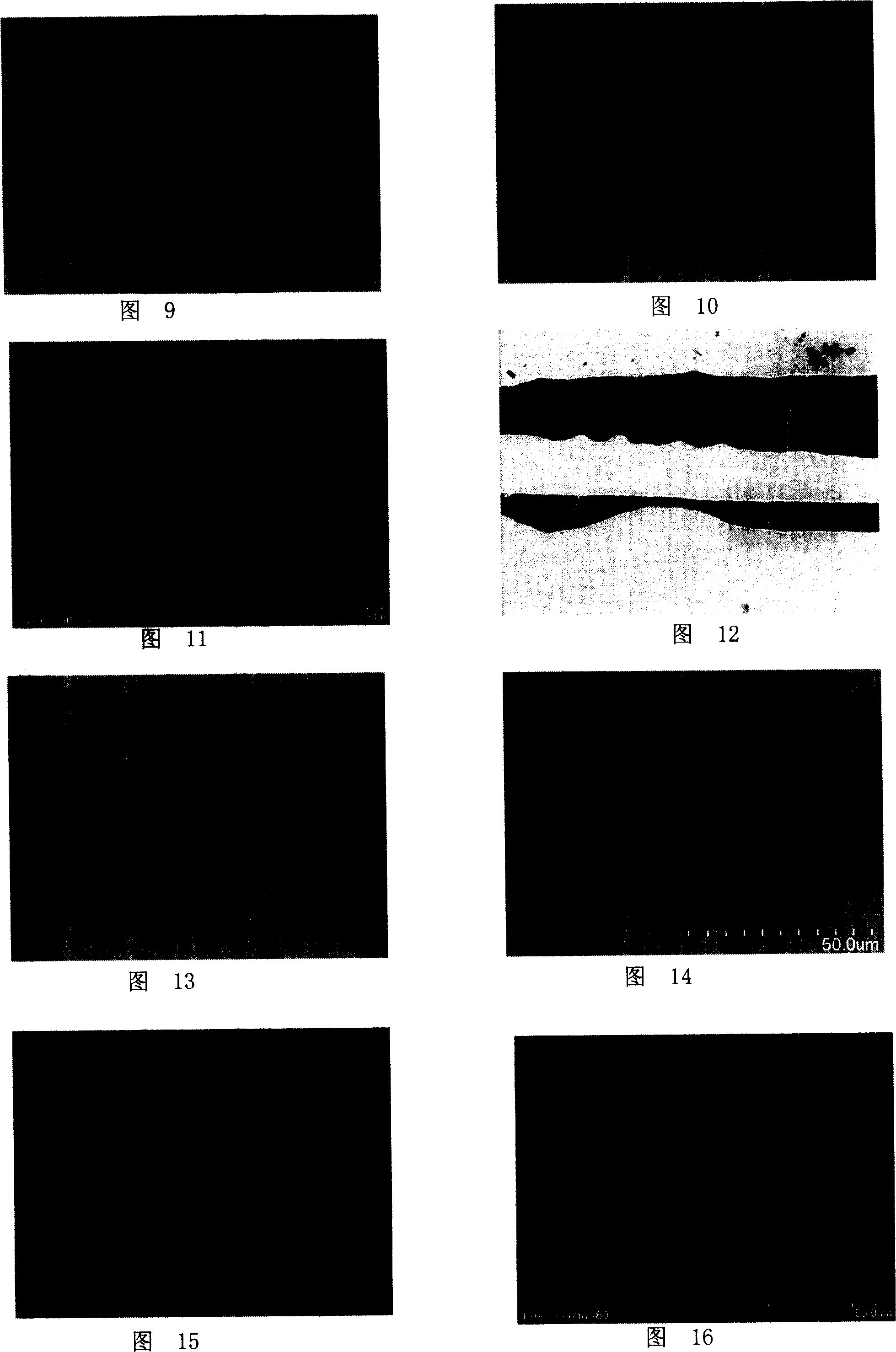 A method for making the carbon nano tube electronic part