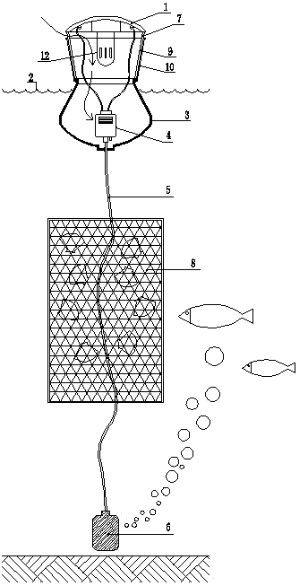 Air pump floating lamp for pearl culture water region