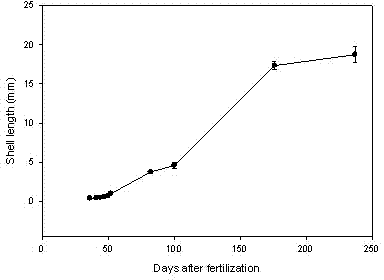 Breeding and propagation method for Atlantic deep sea scallops