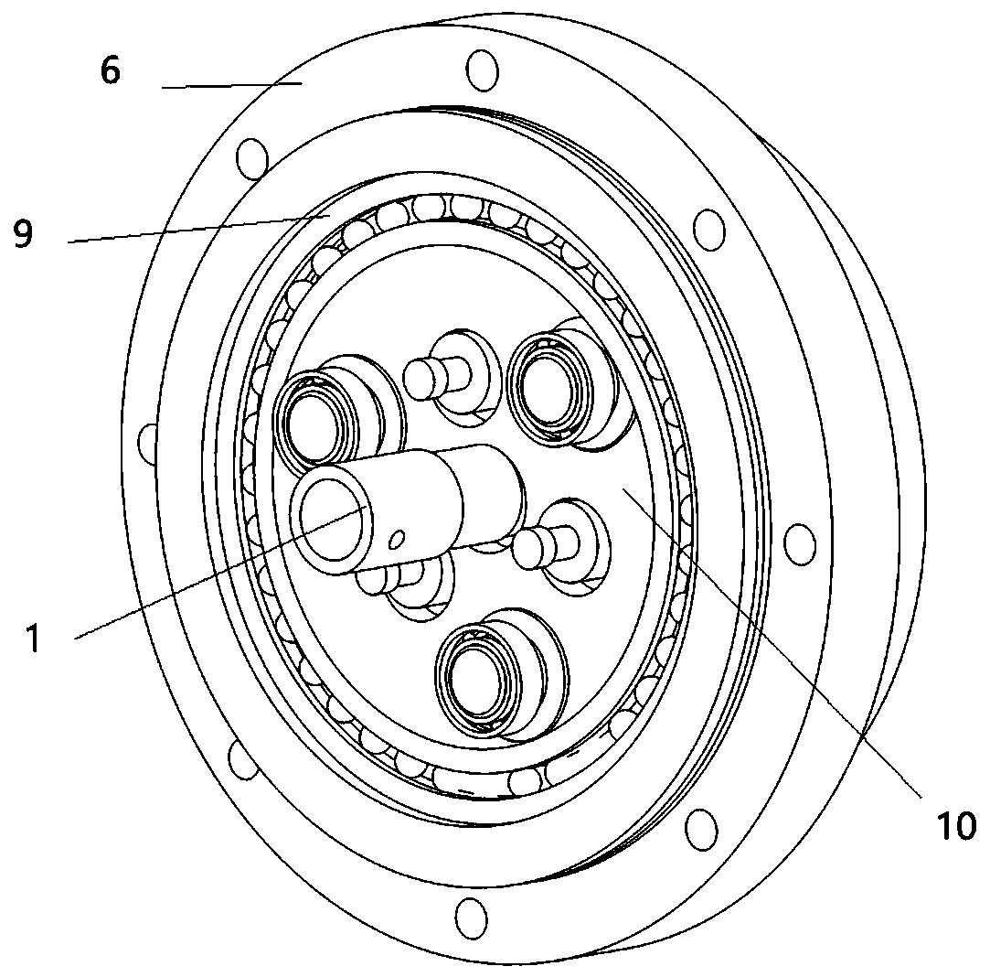 RV bearing based speed reducer