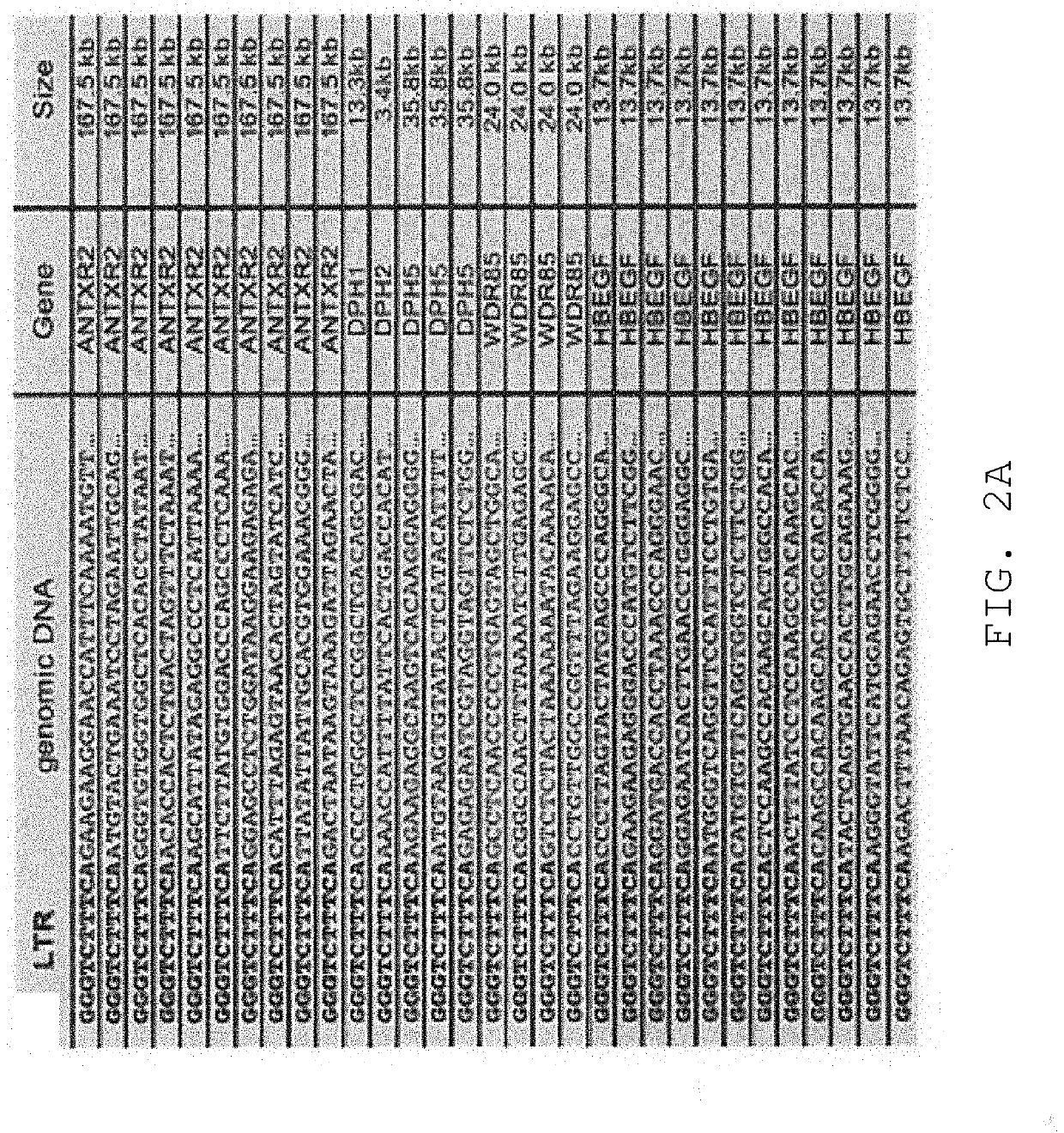 Compositions and methods for mammalian genetics and uses thereof