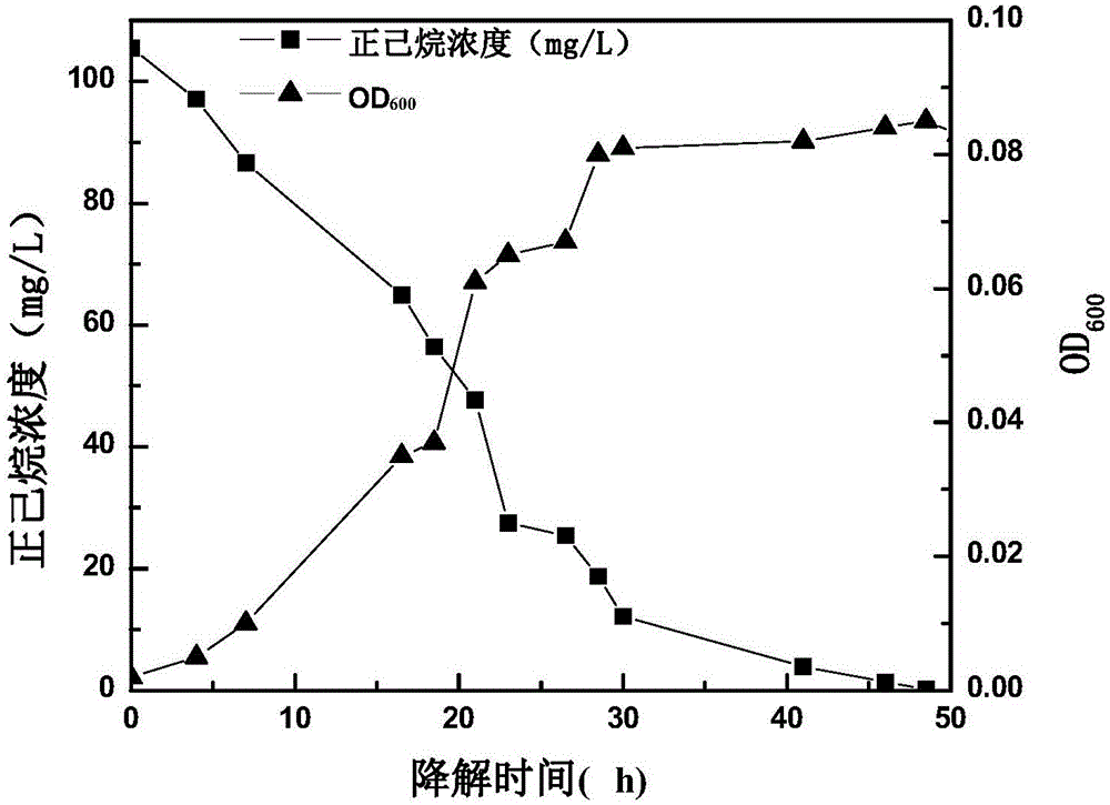 Pseudomonas mendocina NX-1 and application thereof to degradation of n-hexane